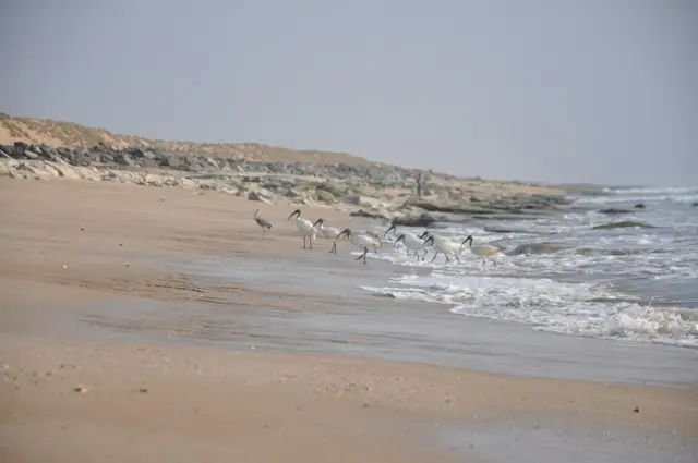 Porbandar