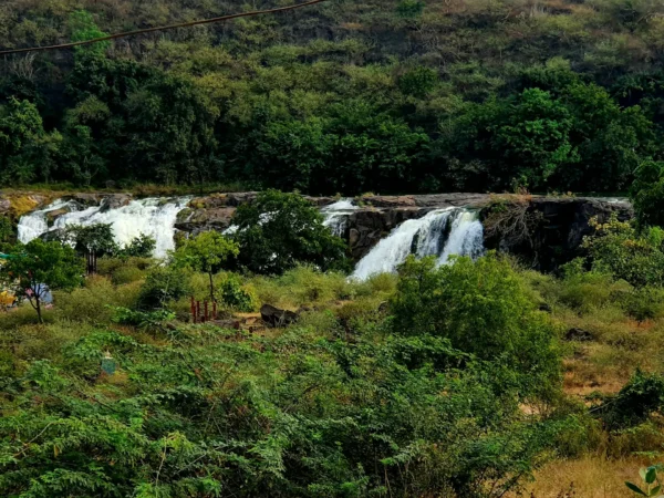 sasangir
