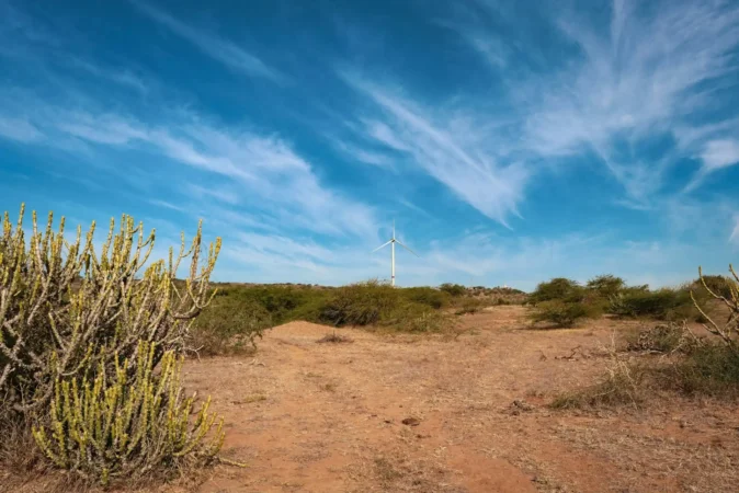 Desert in gujarat