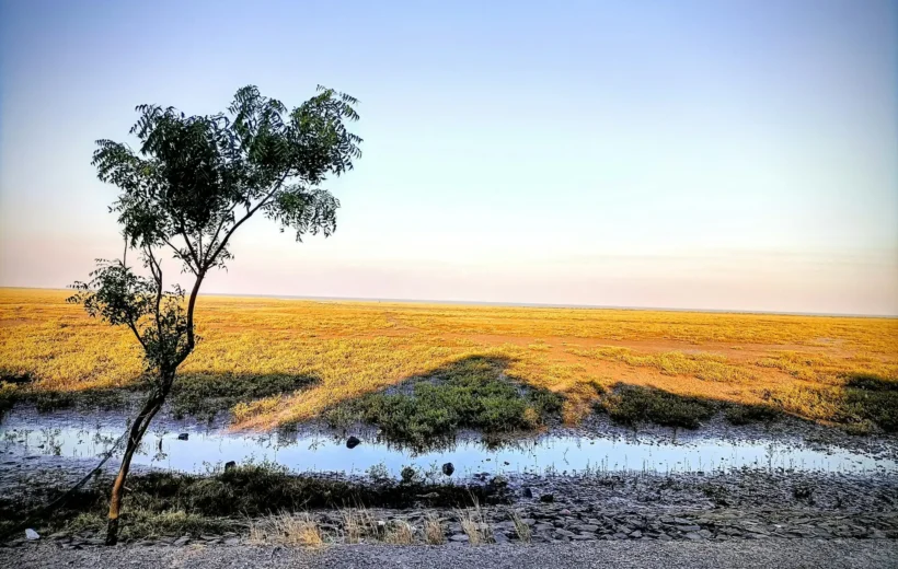Rann of Kutch Tour Packages from Ahmedabad