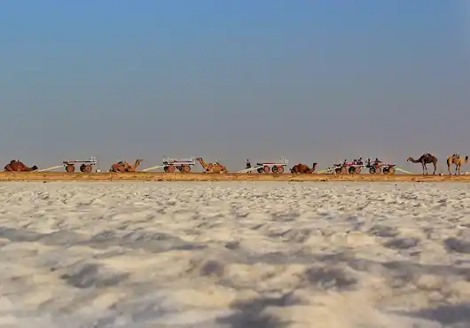 gujarat