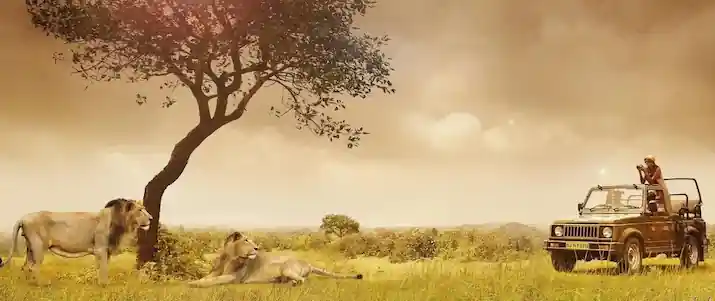 Gir forest