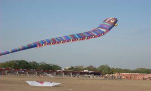 kite-festival-at-rajkot