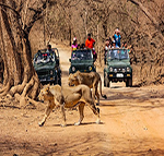 kesari tours rann of kutch