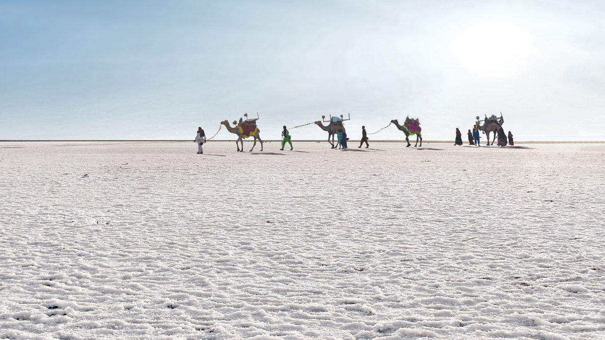 Rann of kutch