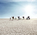 Rann of Kutch Tour Packages