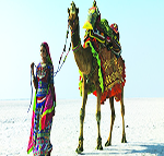 kesari tours rann of kutch