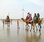 kesari tours rann of kutch