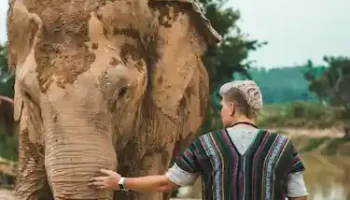 Pilgrimage, Wild Life & Beach Tour