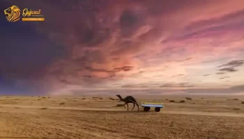 Rann of Kutch Tour Packages