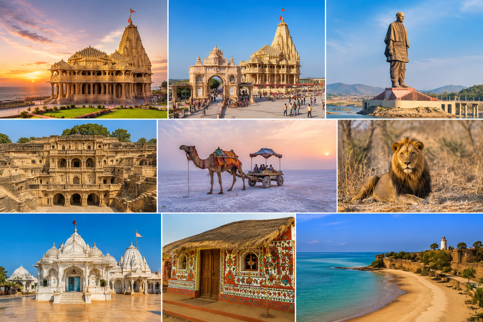 Gujarat Tour Packages: A Journey Through Heritage, Spirituality, Wildlife & the White Desert