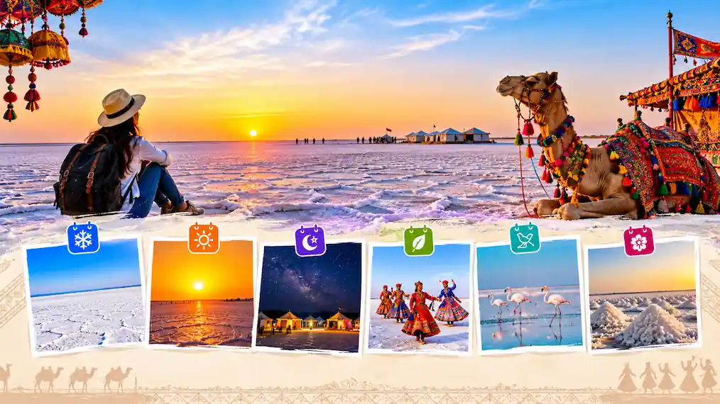 Best Time to Visit Rann of Kutch